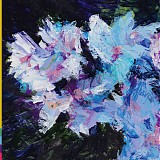 Sunstroke - Bloom At Night