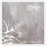 Torrid Husk - Caesious