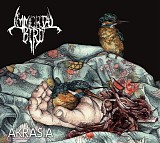 Immortal Bird - Akrasia