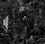 Various artists - split w/ D/A A/D