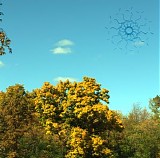 Oaks of Bethel - The Spirit Molecule II