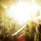 Various artists - Hawk Moon Records: Volume IV