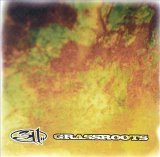 311 - Grassroots