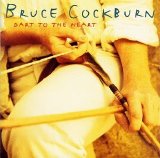 Bruce Cockburn - Dart to the Heart