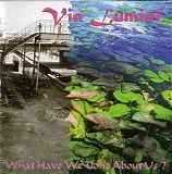 Via Lumini - What Have We Done About Us?