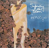 Echolyn - Suffocating The Bloom