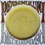 Neil Young & Crazy Horse - Psychedelic Pill