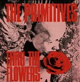 The Primitives - Thru The Flowers