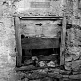 Bassett, John - Live From The Byre