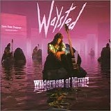 Waysted - Wilderness of Mirrors