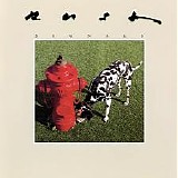 Rush - Signals