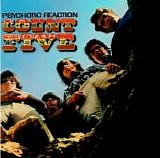 Count Five, The - Psychotic Reaction