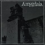 Amygdala - Our Voices Will Soar Forever