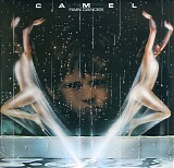 Camel - Rain Dances