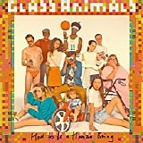 Glass Animals - How To Be A Human Being