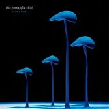 Pineapple Thief, The - Build A World EP