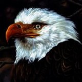 Mogwai - The Hawk Is Howling