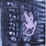 Pineapple Thief, The - 4 Stories Down EP