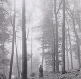 Taylor Swift - Folklore  (Version 1:  In The Trees)