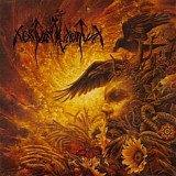 Nokturnal Mortum - Verity