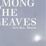 Sun Kil Moon - Among The Leaves