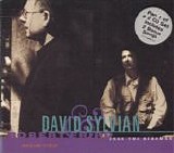 Sylvian & Fripp - Jean The Birdman