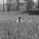 Taylor Swift - Folklore  (Version 2:  In The Weeds)