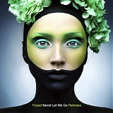 Fused - Never Let Me Go (Remixes) (CD Single) (hd1)