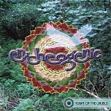 Entheogenic - Flight Of The Urubus