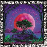 World Turtle - Wilderness Of Eden