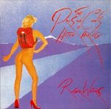 Waters, Roger - The Pros And Cons Of Hitch Hiking