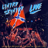 Lynyrd Skynyrd - Southern By The Grace Of God: Lynyrd Skynyrd Tribute Tour 1987