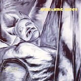 Screaming Trees - Dust