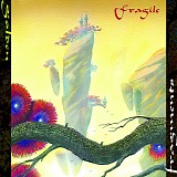 Fragile - Golden Fragments