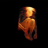 Alice In Chains - Nothing Safe: The Best Of The Box