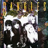 The Bangles - Everything