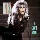 Stevie Nicks - I Can't Wait