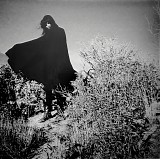 Wolvennest - Vortex