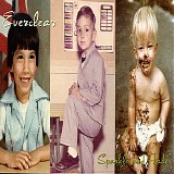 Everclear - Sparkle And Fade