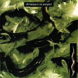 Shriekback - Oil And Gold