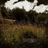 Dragobrath - WhisperHerbs