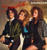 SachÃ© - Are You Attracted To Me