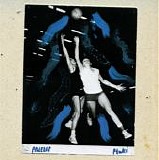 Ptaki - Przelot