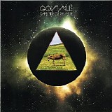 Gov't Mule - Dark Side Of The Mule (2LP)