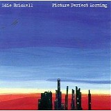Edie Brickell - Picture Perfect Morning