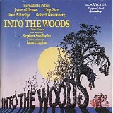 Various artists - Into The Woods [Original Cast Recording]