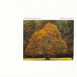 William Ackerman - It Takes a Year