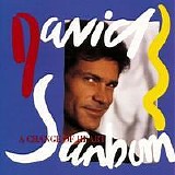 David Sanborn - A Change of Heart