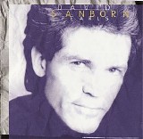 David Sanborn - Pearls