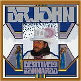 Dr. John - Desitively Bonnaroo